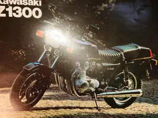 org. Kawasaki Brochure