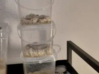 Micro orm foder