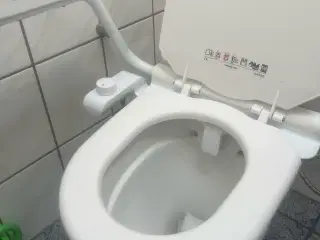 Toilet bruser bidet