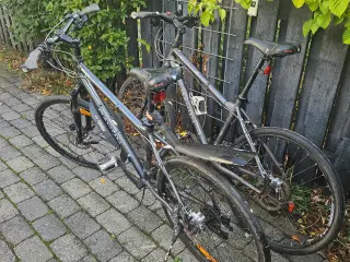 Cykler