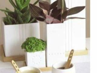 Cult design vaser/urtepotte