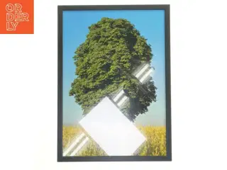 Indrammet billede af et træ fra Posterland (str. 30x42 cm)