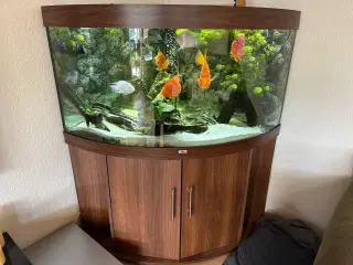 Akvarie Juwel hjørne 350 l