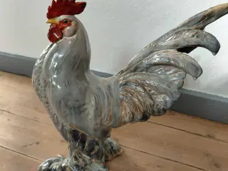 Den smukkeste hane