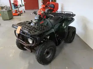 ATV, MotorTek 17