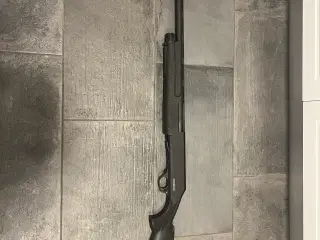 Dickinson pump gun 