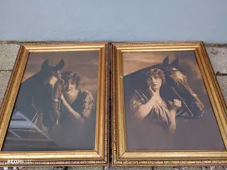 Antikke gamle billeder af kvinder og heste 