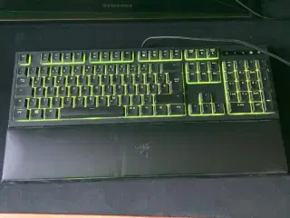 Razer gaming tastatur  