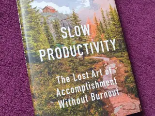 Slow Productivity af Cal Newport