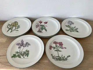 Retro Seltmann Weiden flade tallerkener