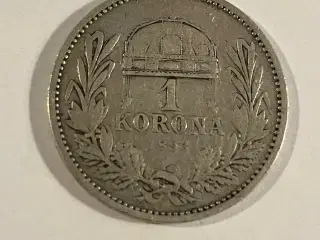 1 Korona 1893 Hungary