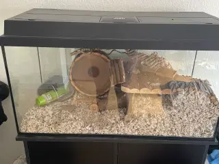 Akvarie (brugt til hamster ) 