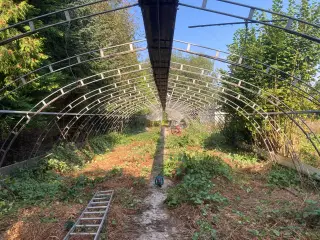 Tunneldrivhus 
