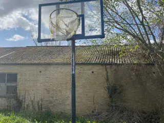 Basketball kurv 