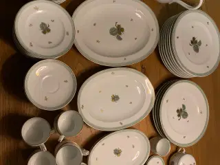 Hasselnød porcelæn uspecificeret