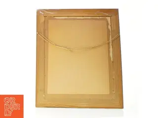 Guldramme med Jomfrue Maria (str. 45,5 x 37,5)