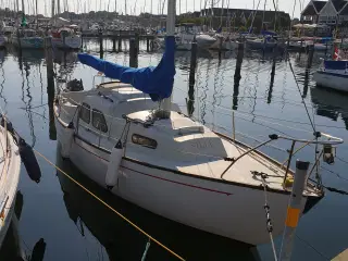 Sejlbåd Bandholm 24