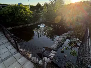 Komplet havedam sælges.