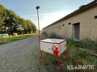 Kartoffelbod