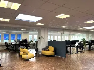 Kontorlejemål med skønt lysindfald og hyggelig have lige ude for døren
