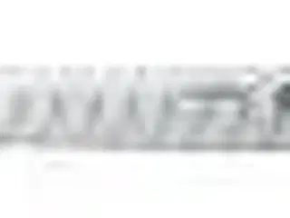 Laksekniv Victorinox 300 mm sort