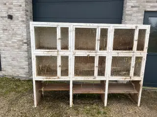 Bur til kanin/marsvin