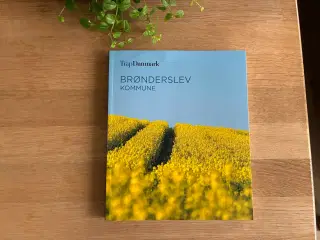 Brønderslev Kommune,   TrapDanmark