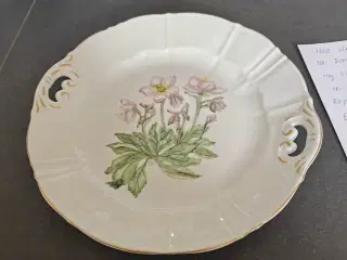 B&G fad klitrose uden fejl