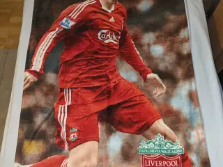 Fernando Torres - Liverpool FC - Håndklæde