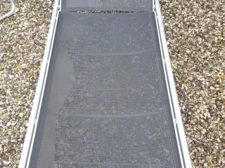 solseng