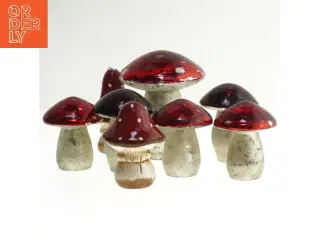 Dekorative svampe (str. 7-11 cm)