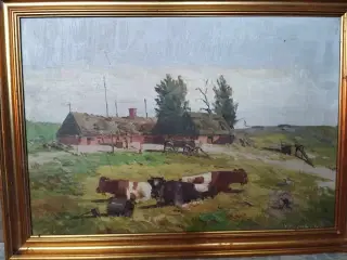 Køer på mark V. Birkholm maleri 