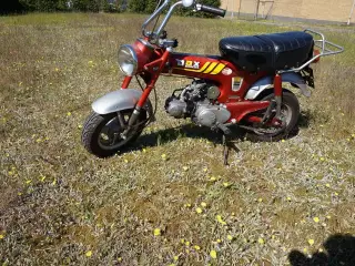 Honda Dax ST50 (MOMSFRI)