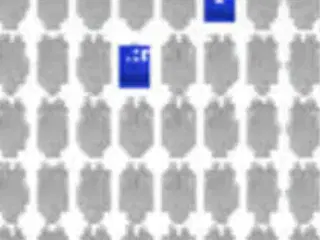 Champions League billetter til Parken