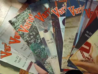 Varieté, novelle og vittighedsbladet.