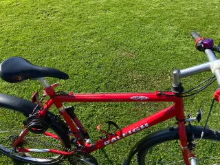 Raleigh. 26" Hjul, 52 cm. stel, 24 gear
