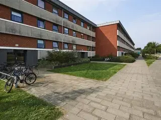 88 m2 lejlighed med altan/terrasse, Esbjerg, Ribe