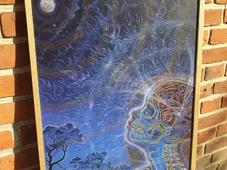 Alex Grey billede m. specialramme – Wonder (Zena G