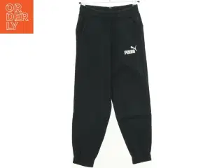 Puma sweatpants (str. 140 cm)