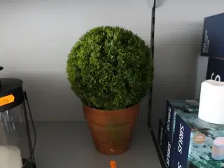 Kunstig plante i krukke