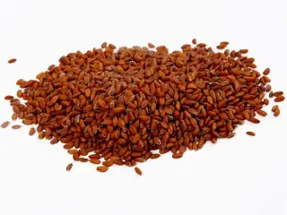 Karsefrø 30 g - Frisk og velsmagende spiring