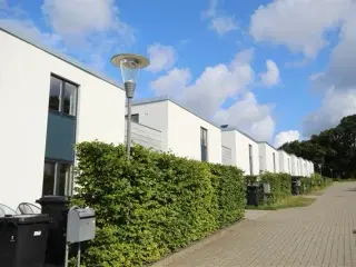 Lyst og lækkert rækkehus til leje i liseborg, Viborg