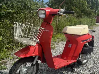 Honda Melody mini