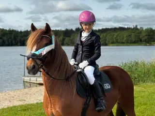 Børnepony søger nyt hjem☺️