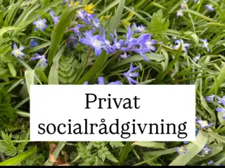 Privat socialrådgivning 