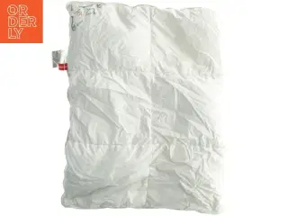 Dyne - barn (str. 60 x 95 cm)