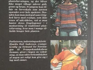 SVAMPEFARVNING - Hjørdis Hall Andersen