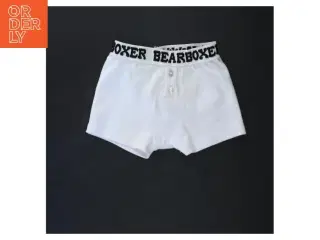 Underbukser fra Bearboxer (str. 18x13 cm)