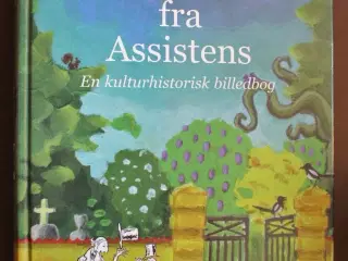 historier fra assistens - en kulturhistorisk bille