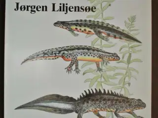 danske salamandre, af jørgen liljensøe. ill. af er